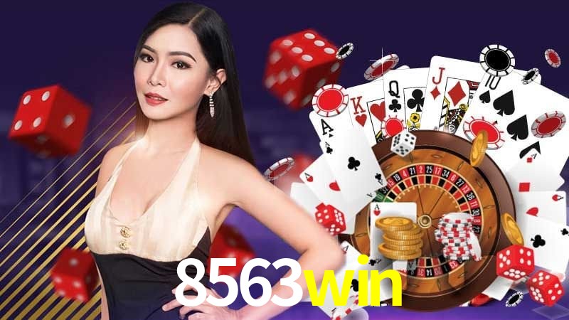 Interface Premium 8563win