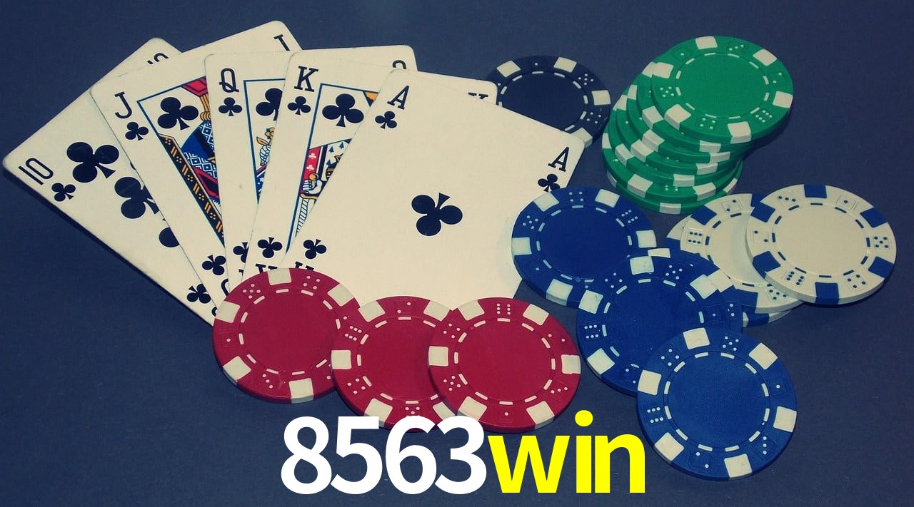 Statistics 8563win